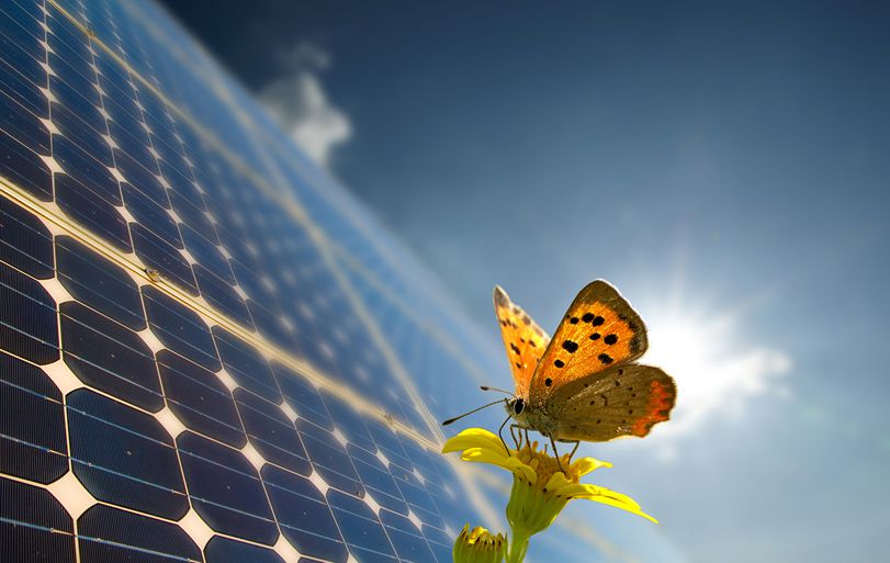 Mariposa panel-solar